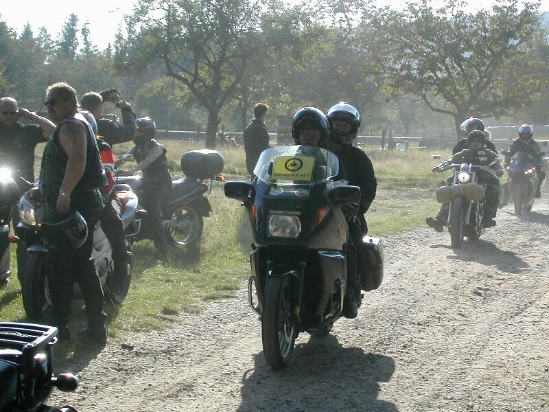 hambach2007_064