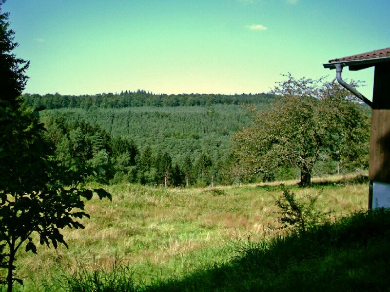 hambach2007_102