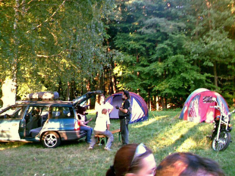 hambach2007_106