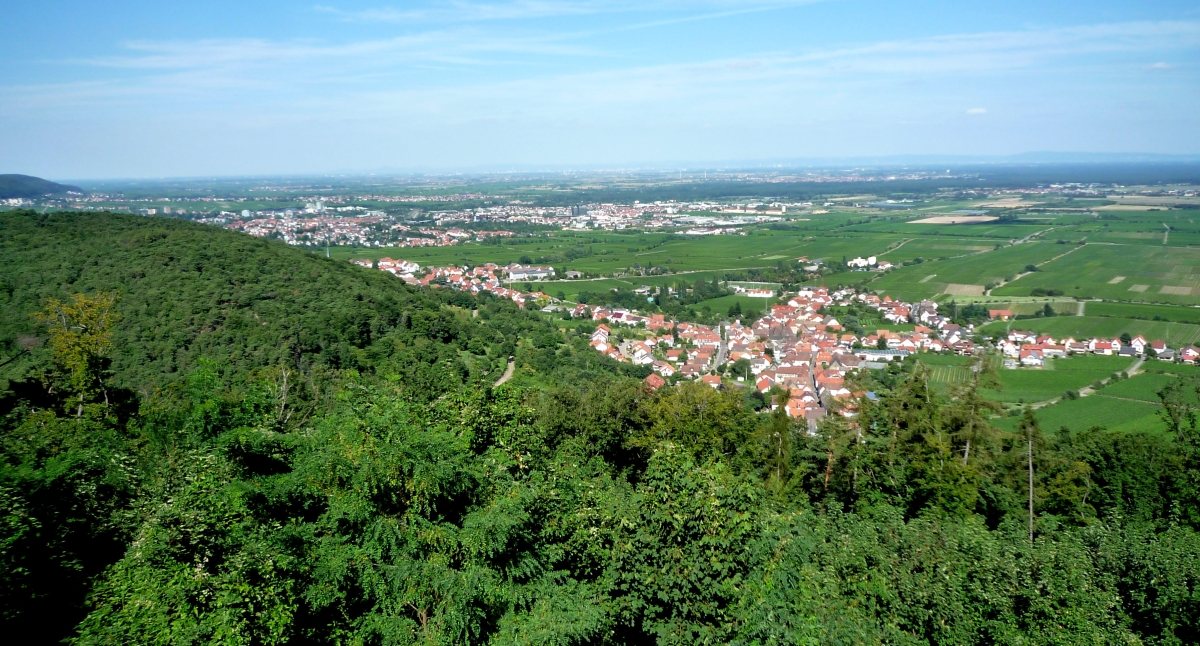 hambach2010-202