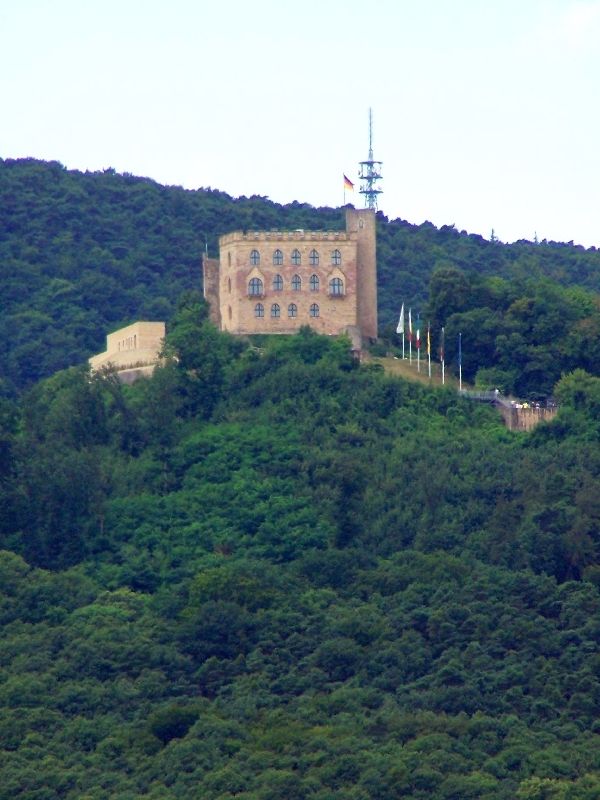 hambach2013-107
