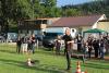 hambach2014-433