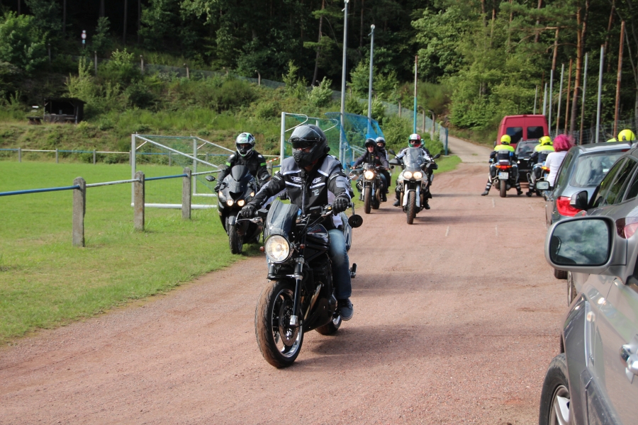 hambach2017_311