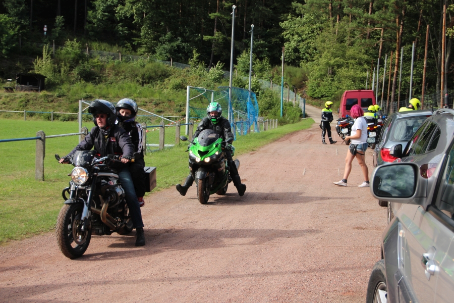 hambach2017_313