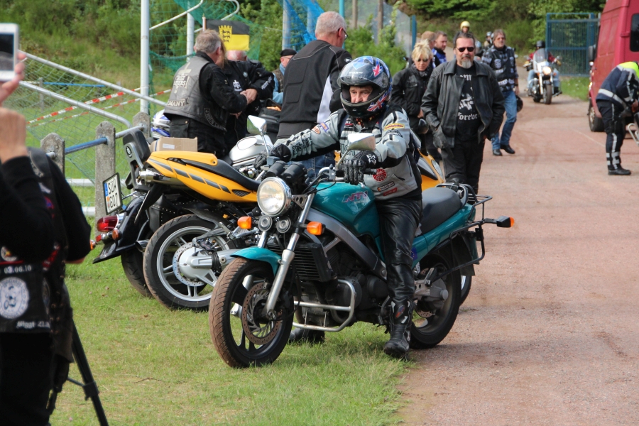 hambach2017_342