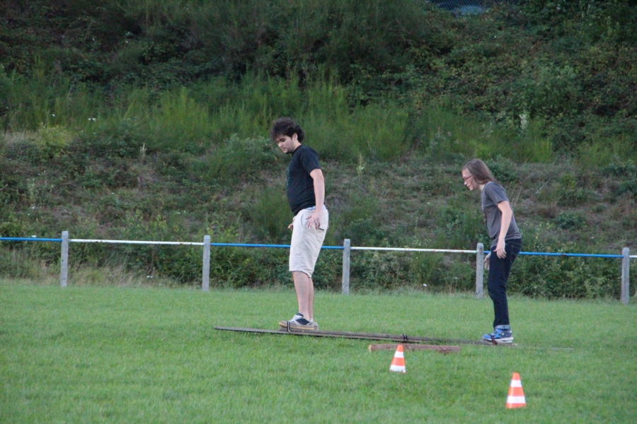 hambach2017_369