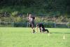 hambach2017_362